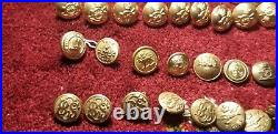 US Army, Canadian British Army WWII And After Uniform Buttons 53 Buttons Set Idc