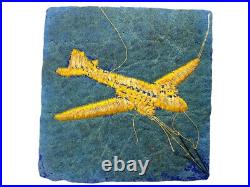WW2 British Airborne RASC Army Service Corps Air Dispatch DC3 Division Patch 1