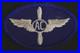 WWII US Army Air Corps Cadet Silver Wing SSI Sleeve Patch Embroidered Gauze Back