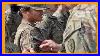 What Is A Combat Patch